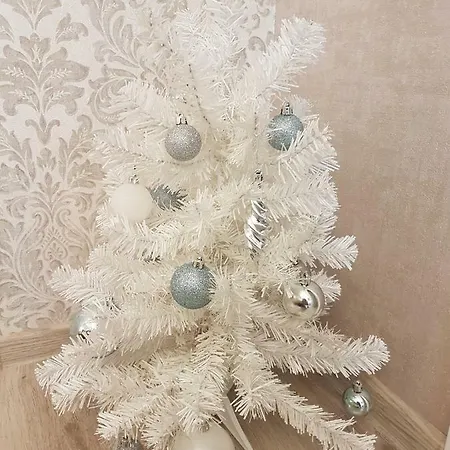 2 Bedroom Lux Daire Riga